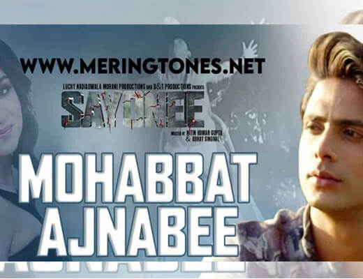 Mohabbat Ajnabee – Sayonee - Lyrics in Hindi