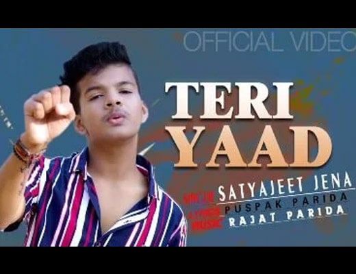 Teri Yaad – Satyajeet Jena - Lyrics in Hindi