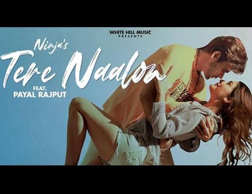 Tere Naalon Hindi Lyrics – Ninja