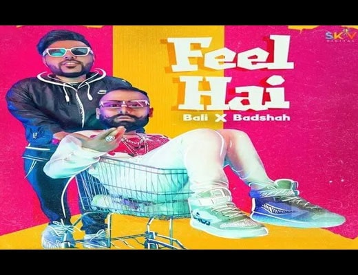 Feel Hai Hindi Lyrics – Bali, Badshah