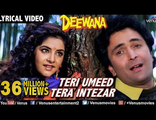 Teri Umeed Tera Intezar Hindi Lyrics - Deewana