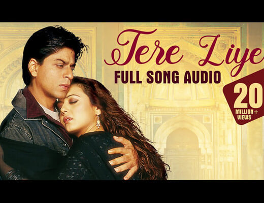 Tere Liye Hindi Lyrics - Veer Zaara
