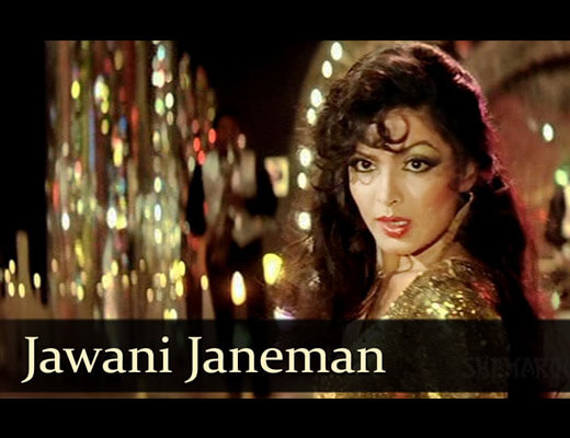 Jawani Jan E Mann Hindi Lyrics - Namak Halaal