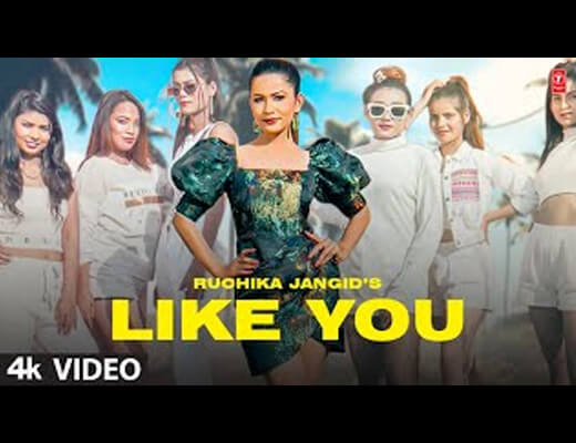 Like You Hindi Lyrics – Ruchika Jangid