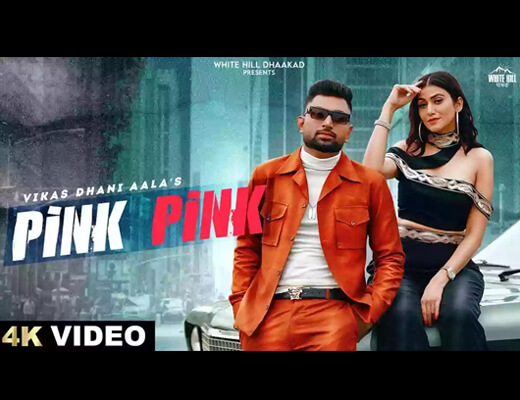Pink Pink Hindi Lyrics - Vikas Dhani Aala