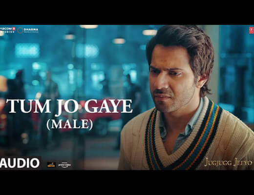 Tum Jo Gaye (Male Version) Hindi Lyrics – Pozy