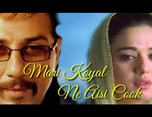 Mari Koyal Ne Aisi Cook Hindi Lyrics - The Hero