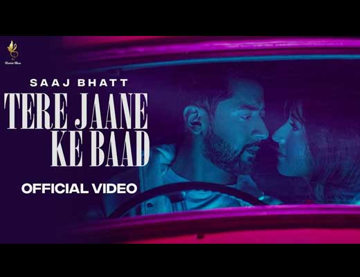Tere Jane Ke Baad Hindi Lyrics - Saaj Bhatt