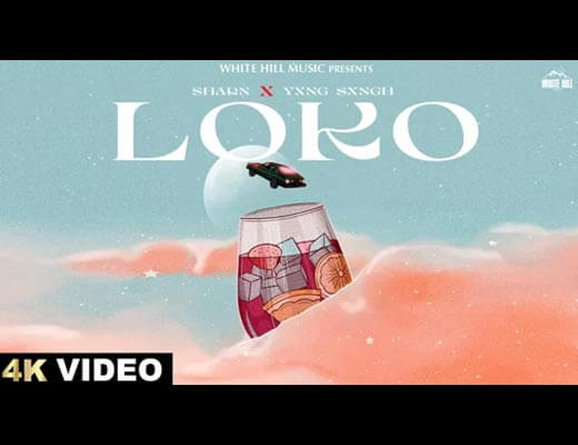 Loko Hindi Lyrics – Sharn