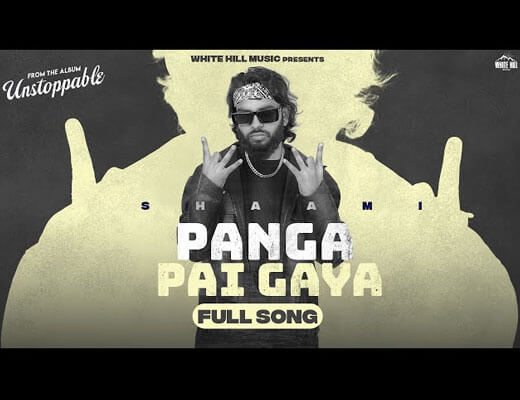 Panga Pai Gaya Hindi Lyrics – Shaami