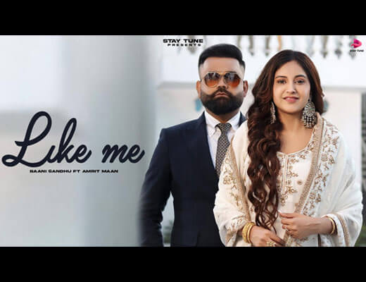 Like Me Hindi Lyrics – Baani Sandhu