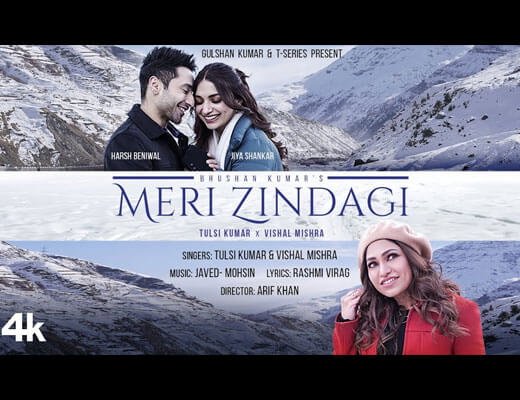 Meri Zindagi Hindi Lyrics – Tulsi Kumar