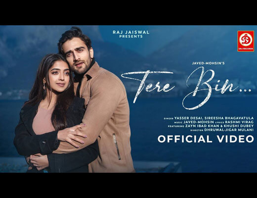 Tere Bin Hindi Lyrics – Yasser Desai