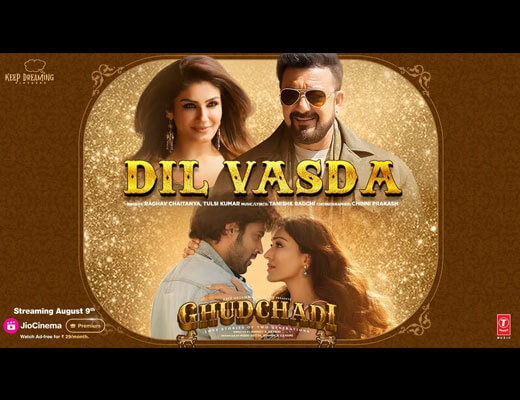 Dil Vasda Hindi Lyrics – Raghav Chaitanya