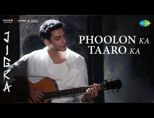 Phoolon Ka Taaro Ka Lyrics – Vedang Raina